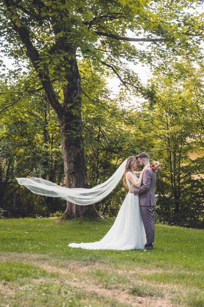 Bild werfen Schleier